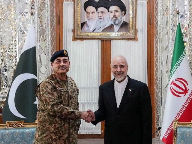 پاکستانی سول اور عسکری قیادت کی سفارتی محاذ پر عالمی سطح پر پزیرائی