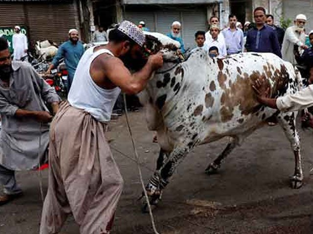 عیدالاضحیٰ: ملک بھر میں نماز عید کے بعد قربانی کا سلسلہ جاری