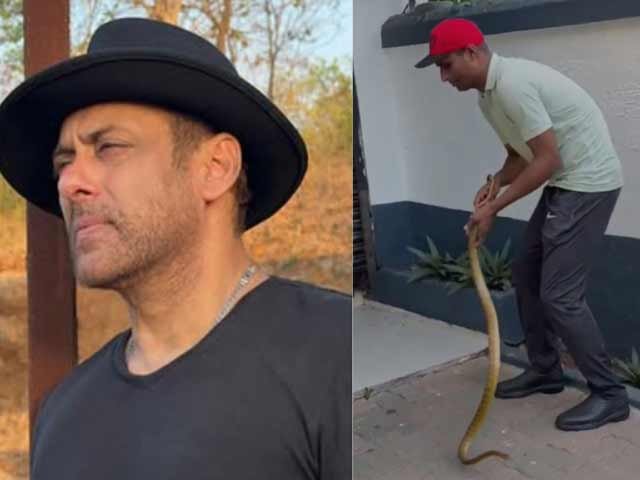 سلمان خان کے گیلکسی اپارٹمنٹ میں 5 فٹ لمبا سانپ: ریسکیو ٹیم کی ہنگامی کارروائی