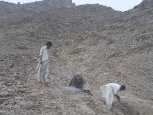 بلوچستان کے ضلع کیچ میں اغوا کے بعد 6 مزدوروں کی تشدد زدہ لاشیں برآمد