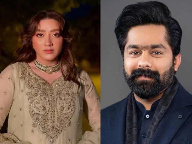مومنہ اقبال ہراسانی کیس: ن لیگی ایم پی اے ثاقب چدھڑ کی عبوری ضمانت میں توسیع