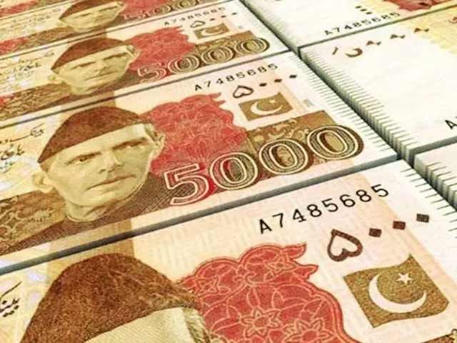 پانچ ہزار کا ایک نوٹ 14 روپے میں بنتا ہے : ڈپٹی گورنر اسٹیٹ بینک