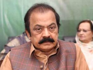 سندھ اسمبلی میں صوبوں کا معاملہ لانا سیاسی اقدام تھا: رانا ثنا اللہ